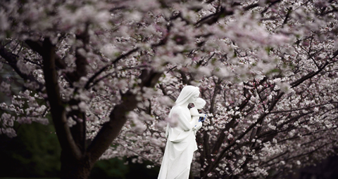 10-SPRING-FLOWERS