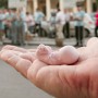 10-FOETUS 10-FOETUS