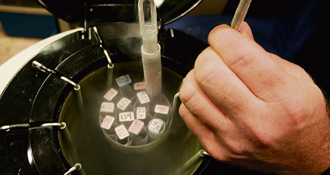 1-LABORATORY