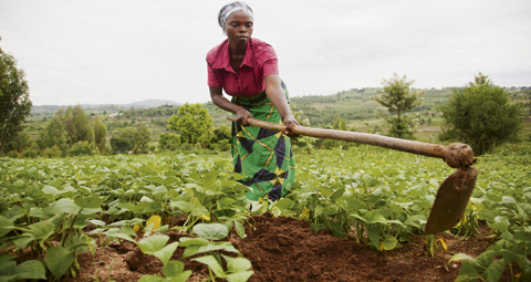 8A-FEMALE-FARMER