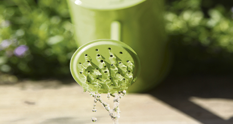 10-WATERING-CAN