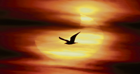 10-SUNRISE-ECLIPSE