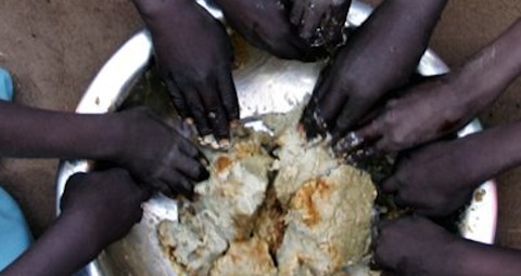 1 Food crisis