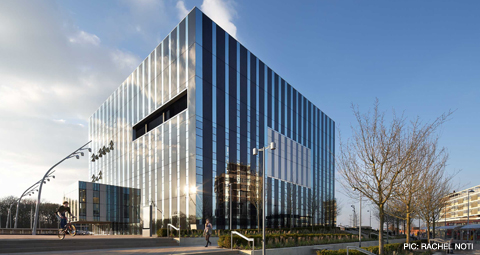 8-CORBY