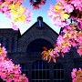 10-SUMMER-CHURCH