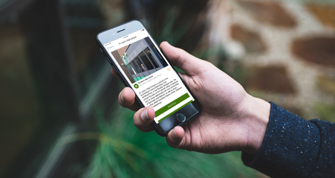 7-st-luke's-app