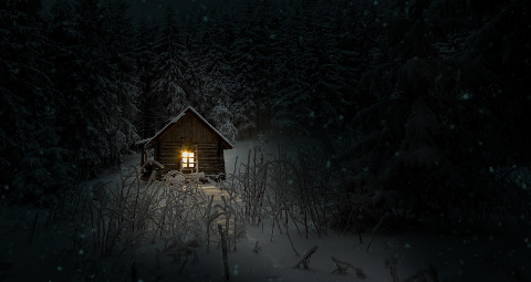 9 - cabin