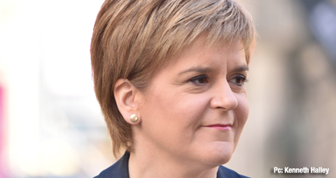 4-sturgeon