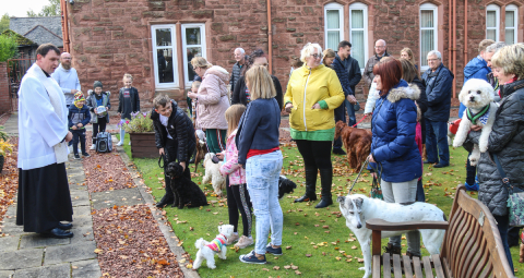 Blessing of Pets (1 of 8)