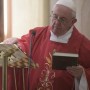 pope francis